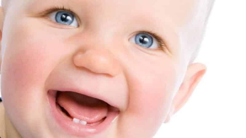 dientes de leche en número de hijos