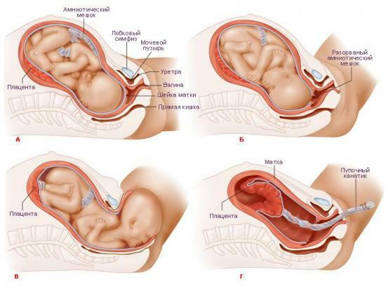 Hur är generationer kvinnor, lära sig att uppföra sig ordentligt under förlossningen