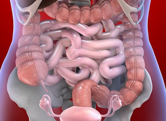 intestinale symptomer