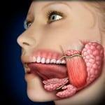 What to do inflamed sublingual salivary gland inflammation treatment
