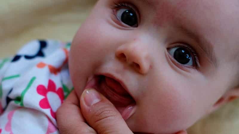 Cómo dentición bebés