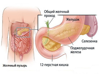 Localización de la vesícula biliar