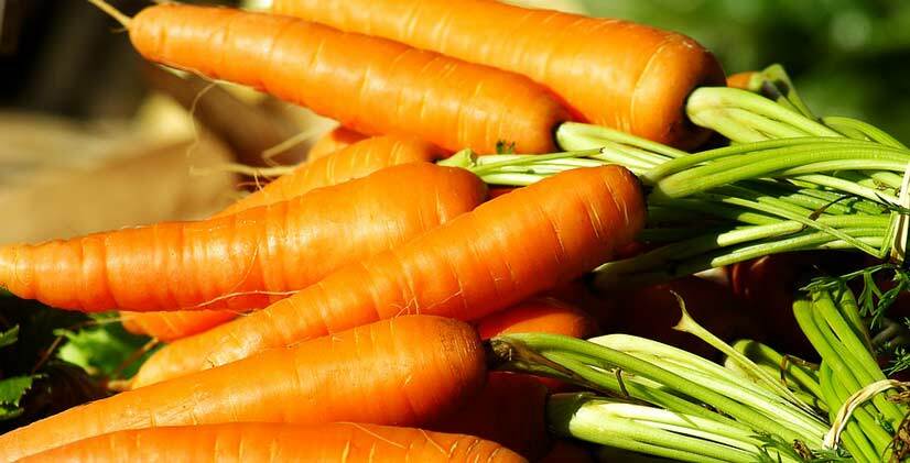 Welche Karottenmaske von Akne ist besser und effektiver und was kann man zu Hause machen - Rezensionen