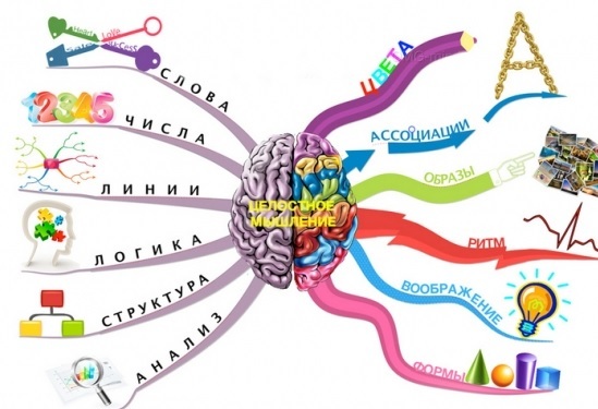 Asymetria interhemisférica do cérebro