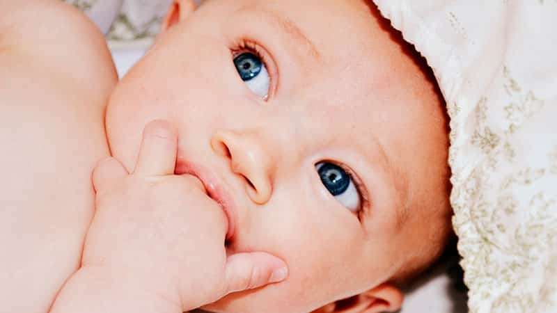 Klatre hugtænder i barnets: de symptomer, timing, fotos