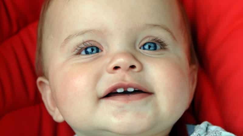 quanti denti il ​​bambino in 11 mesi