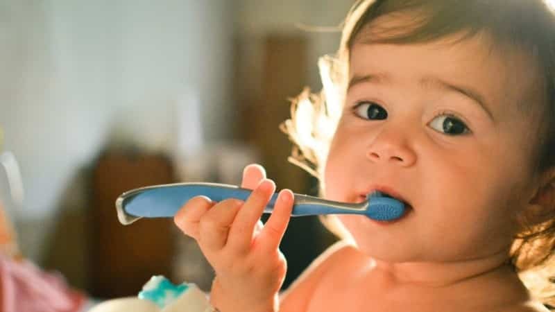 מתי להתחיל לצחצח שיניים של הילד שלך יכול