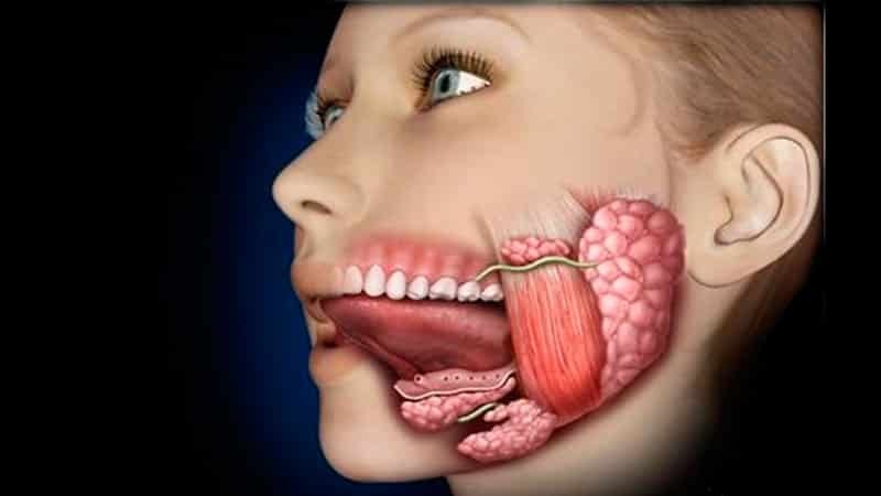 What to do inflamed sublingual salivary gland inflammation treatment