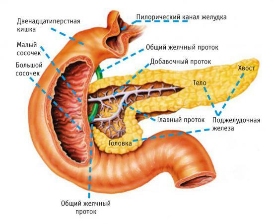 La historia de la enfermedad pancreatitis crónica