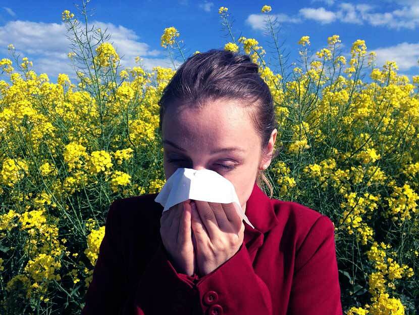 Medel mot allergi Allergonics - en beskrivning av läkemedlet