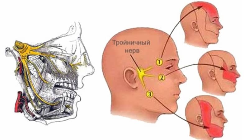 Jaw: causes and what to do if lomit