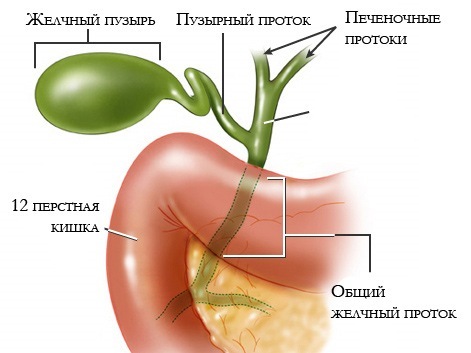 Síntomas de problemas de la vesícula biliar