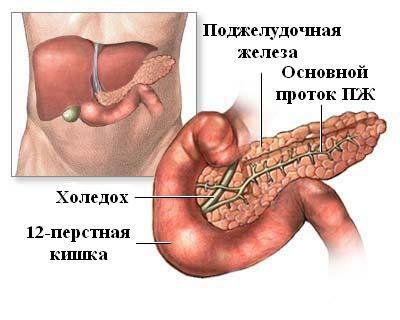 What are the symptoms of an exacerbation of an attack of the pancreas?