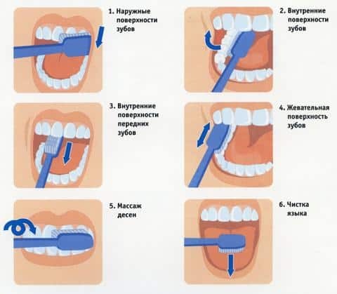 Ordentlig rengøring af tænderne