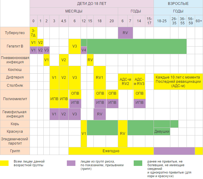 Calendar-vaccinatie-kinderen-en volwassenen-Rusland( 1)