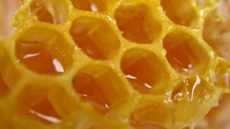Propolis ząb: Nalewka ból zęba na alkohol