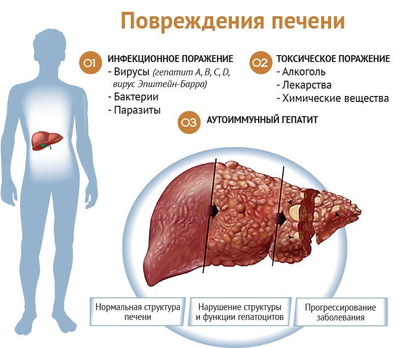 Tipos e causas de danos ao fígado