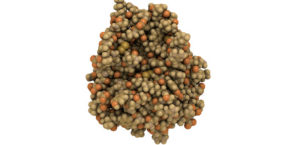 pancreas enzymen