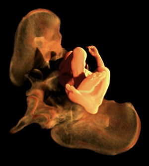 25 Woche Schwangerschaftsfoto