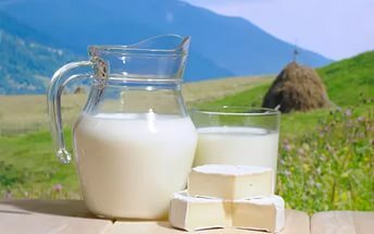 Melk: de voor- en nadelen