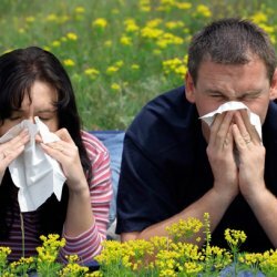 Allergia olemus, kas allergia on pärilik