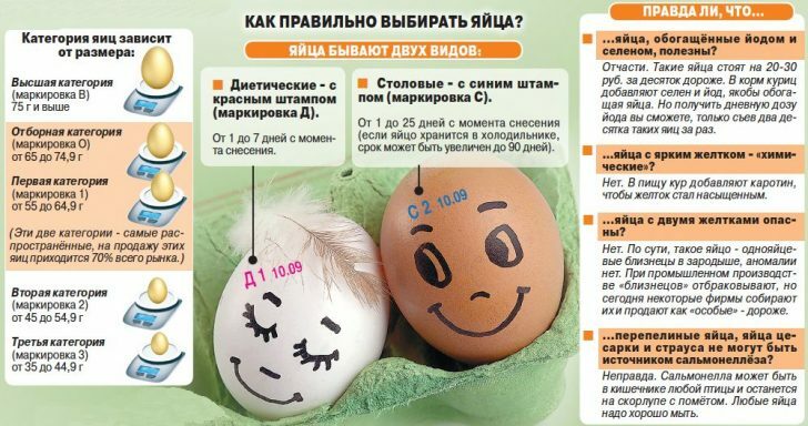 Kippen eieren: de voor- en nadelen