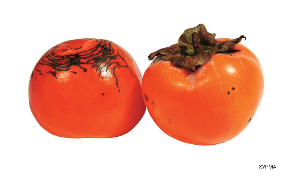 Persimmon: benefit and harm