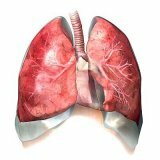 Zápal pľúc: ľudové metódy liečby