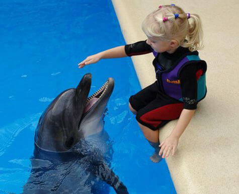 Dsp delfinų terapija