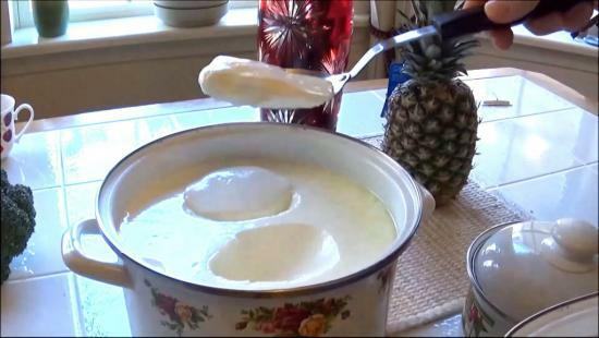 Evitaliya sammensetning, nyttige egenskaper yoghurt oppskrifter