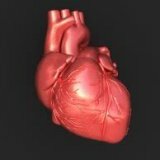 Cardiovascular dystonia