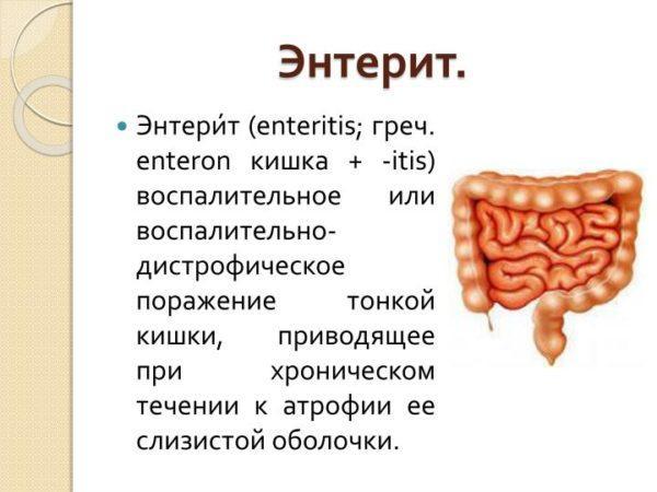 Enteritis