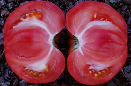 a tomato