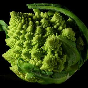 fractal_broccoli