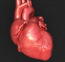 Pulmonáris szív