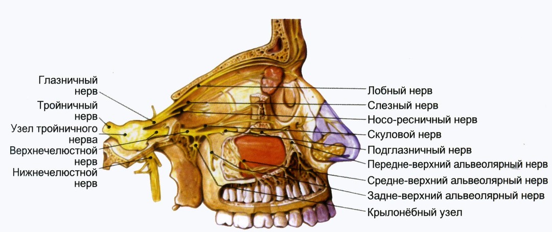 Neuralgia of the pterygoid node