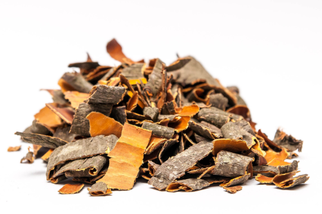 The buckthorn bark is an effective home remedy for constipation