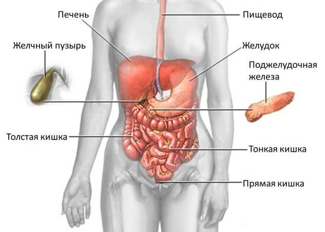Alterações difusas no parênquima do fígado e pâncreas