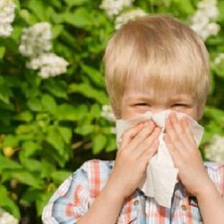 La pollinose chez les enfants - ses causes, ses symptômes, son traitement