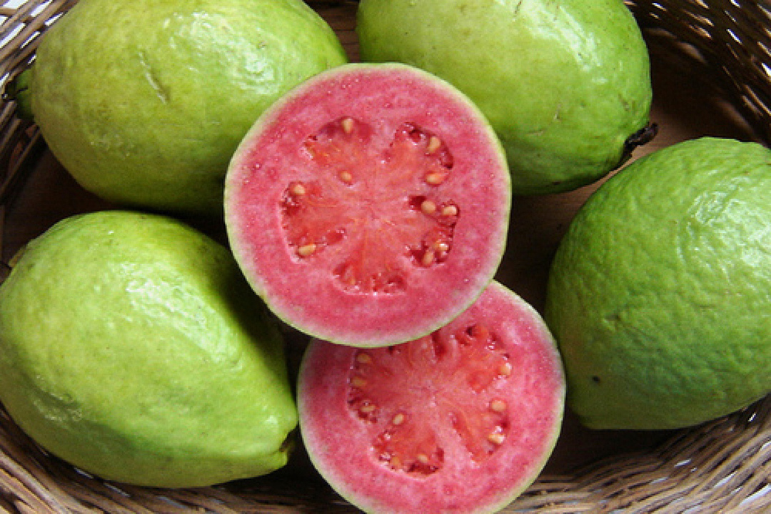 Guava: voor- en nadelen