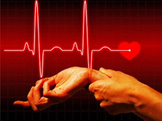 Heart rate is normal in adults