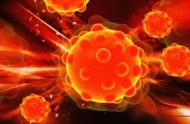 Bacterias del organismo
