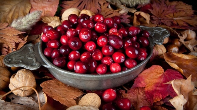 Cranberry with cystitis: how to take, doctors' recommendations