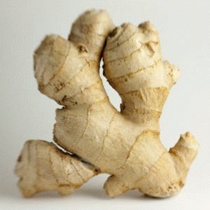 Racine de gingembre