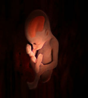 26 Woche Schwangerschaftsfoto