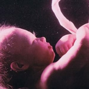 27 tjedana trudna: Fetalni razvoj, zdravlje i težina trudnice