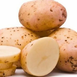 Sapata-articulações de batatas