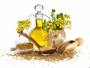 Uporaba olja iz lanenega semena