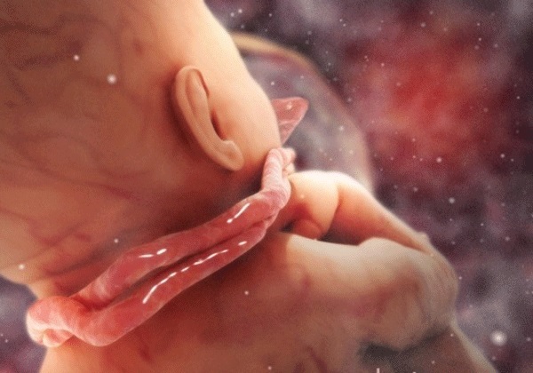 Kā izvairīties no nopietnām hipoksijas sekām jaundzimušajiem