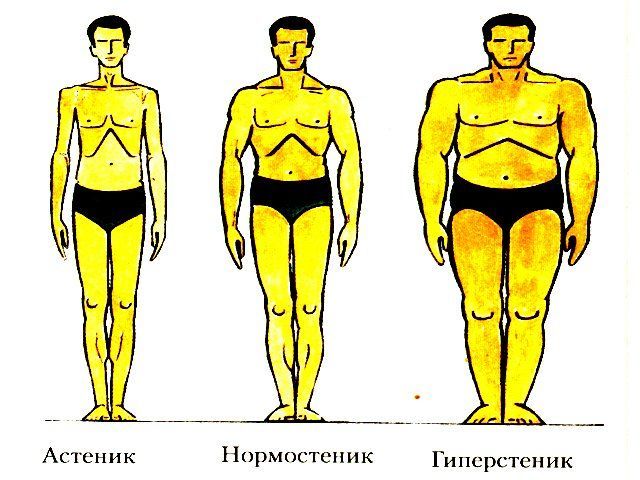 lichaamstypes